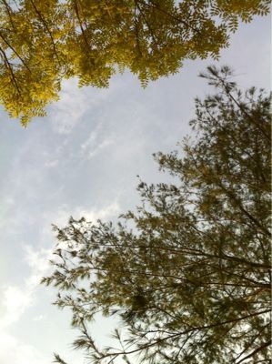 e0184598_11152542.jpg