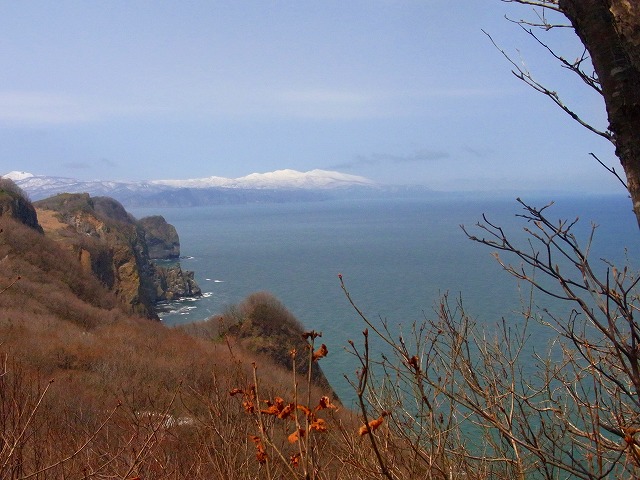 f0157901_15225772.jpg
