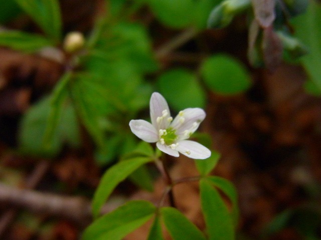f0157901_15235960.jpg