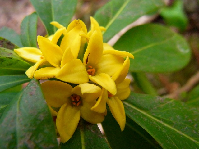 f0157901_15253735.jpg