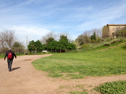 a0060003_23555596.jpg