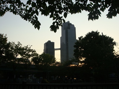 a0167803_837427.jpg