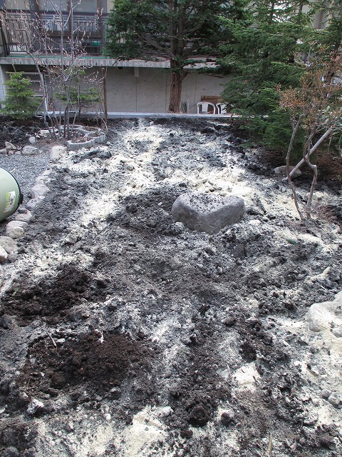 f0202703_1445037.jpg