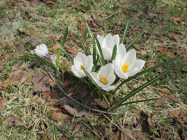 f0202703_1551531.jpg