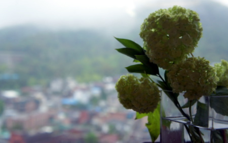 c0148705_124109.jpg