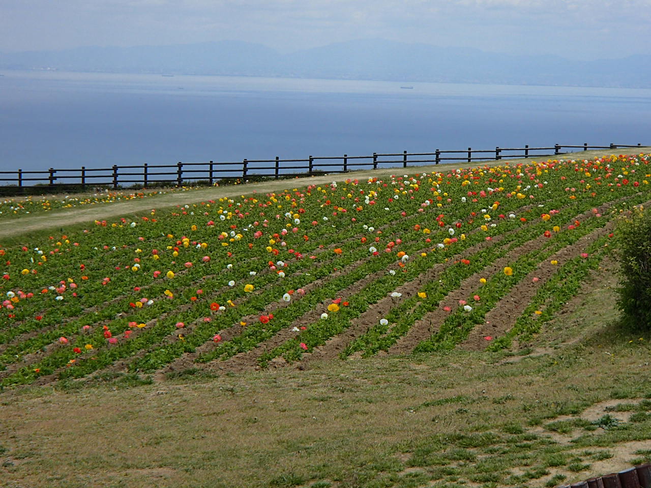 f0219810_20425875.jpg