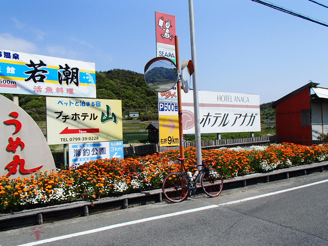 f0219810_2049072.jpg