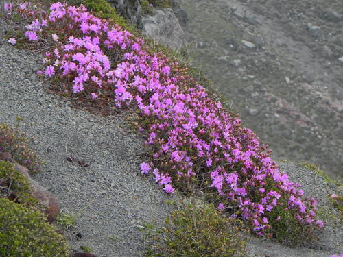 e0238313_18213761.jpg