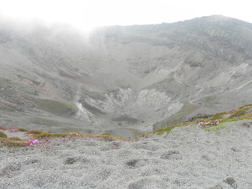 e0238313_18295370.jpg