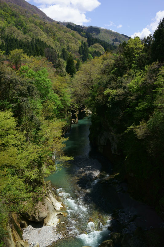 a0278914_1024321.jpg