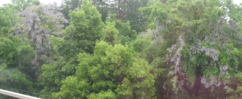 a0239418_15351325.jpg
