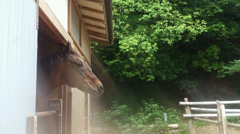 b0187620_20121041.jpg