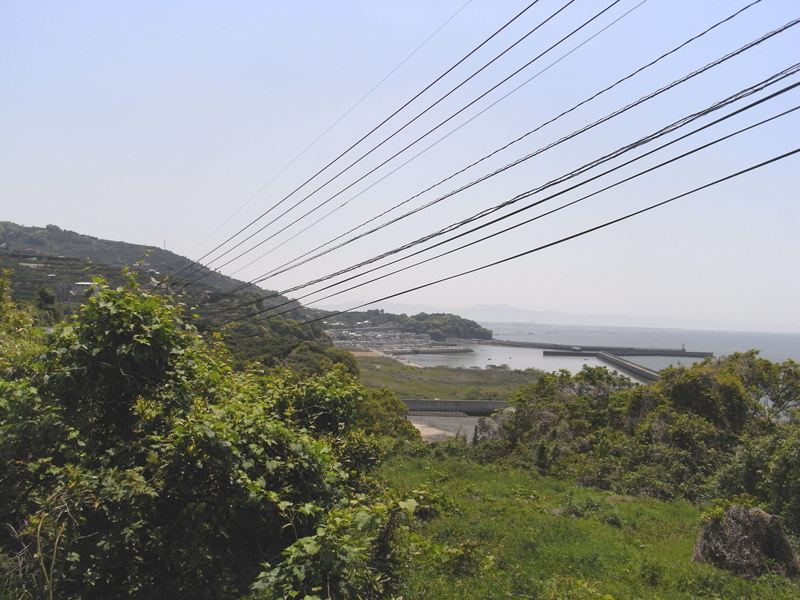 d0088420_1292157.jpg