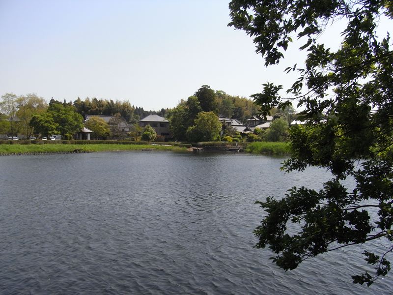 d0088420_1353587.jpg