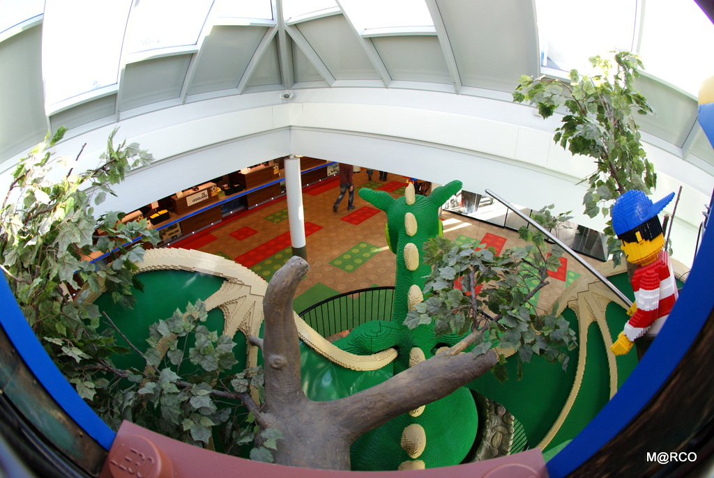 a0240721_21395925.jpg