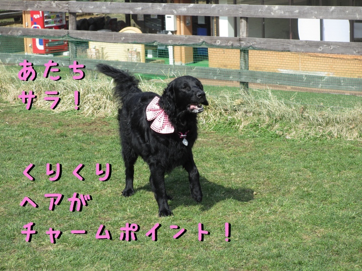 c0237824_10144850.jpg