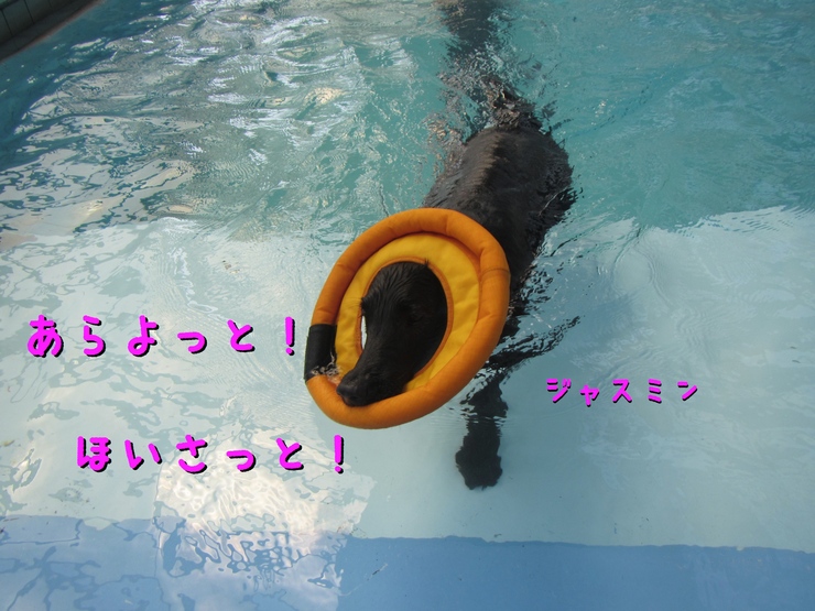 c0237824_103103.jpg