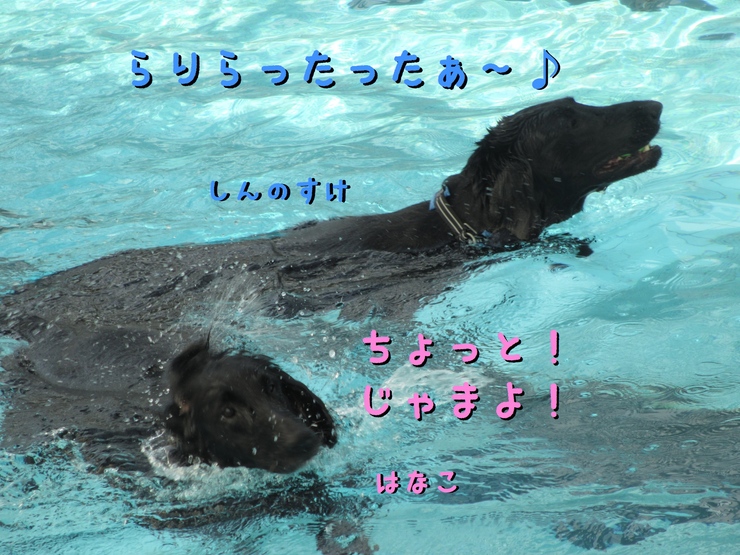 c0237824_9571642.jpg