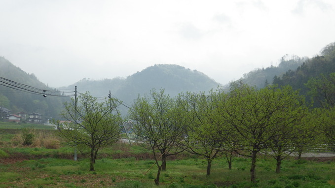 c0300035_883810.jpg