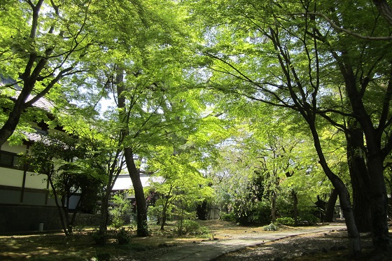 e0291638_16564837.jpg