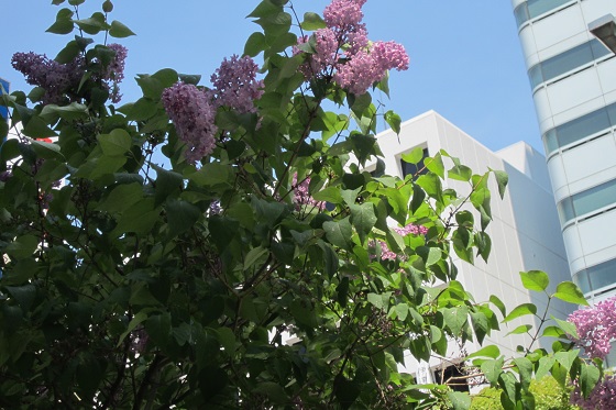 e0291638_1717155.jpg