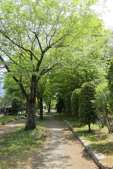 e0291638_1722832.jpg