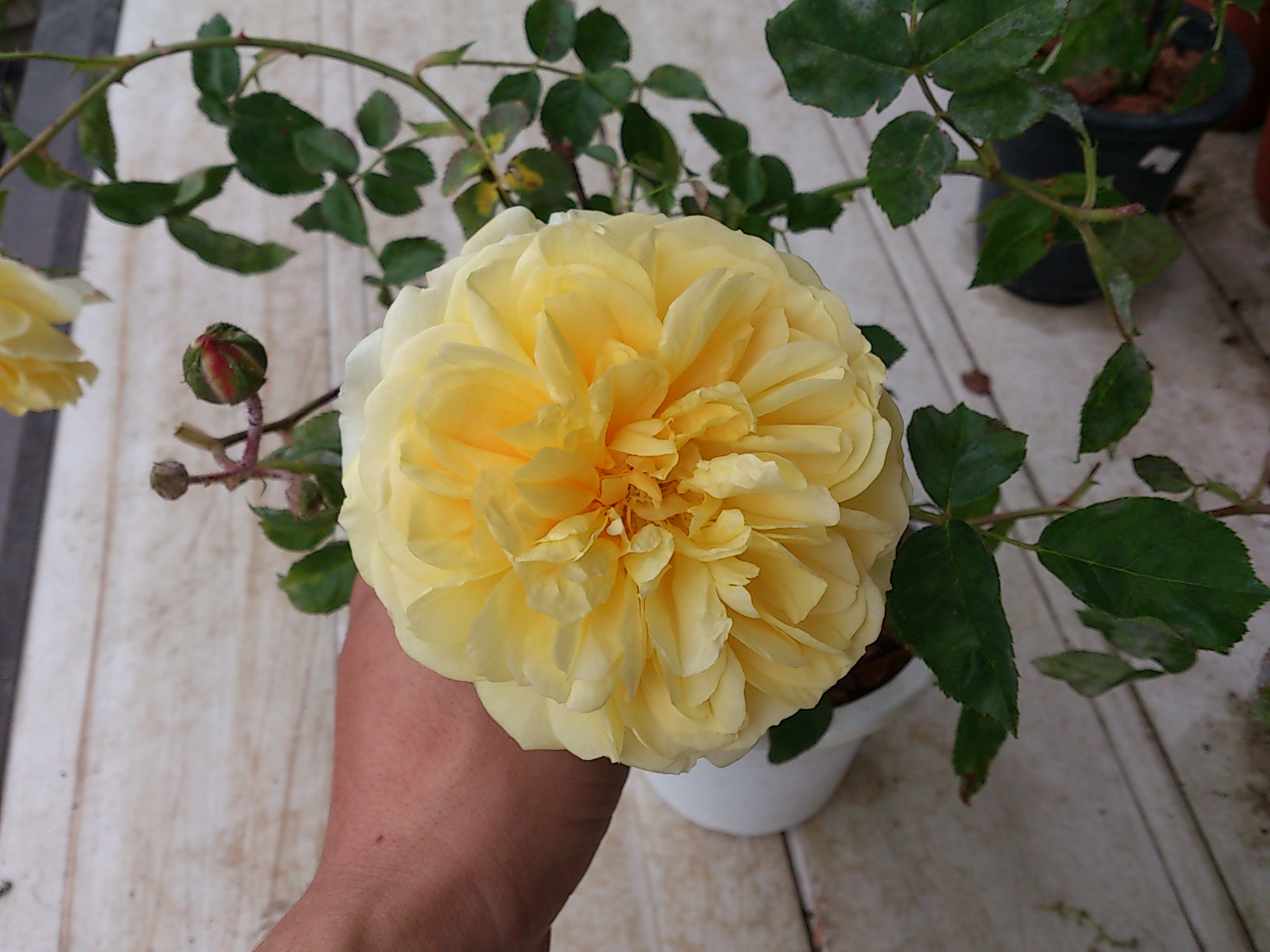 b0076739_2114633.jpg