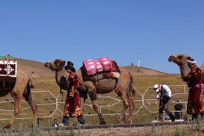 d0195041_4261221.jpg
