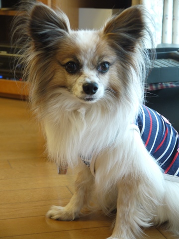 e0100046_22435921.jpg