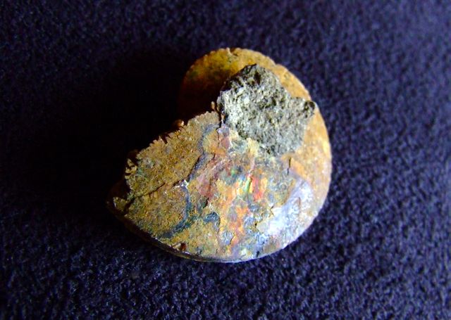 e0290546_19152912.jpg