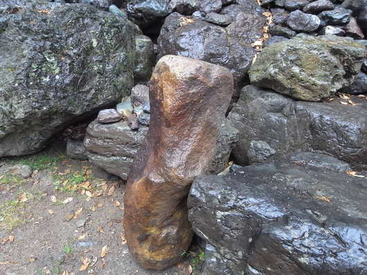 e0126548_1604979.jpg