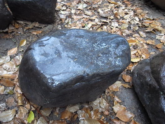 e0126548_1614084.jpg
