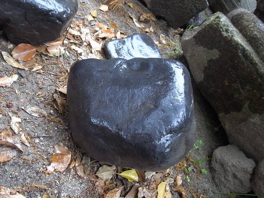 e0126548_1621822.jpg