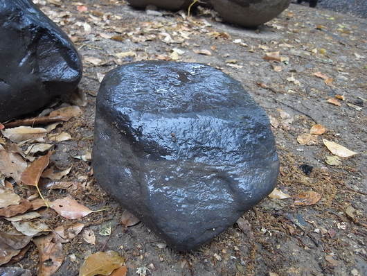 e0126548_1622960.jpg
