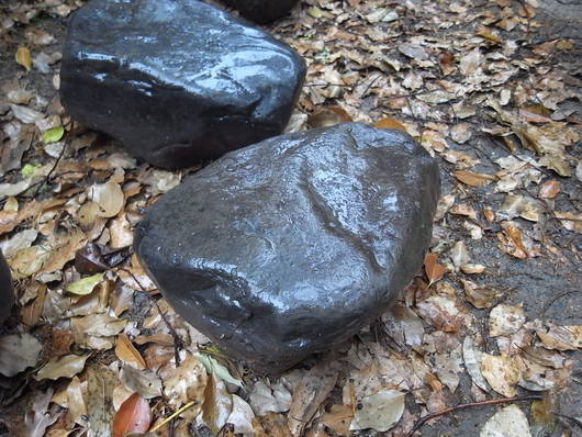 e0126548_162484.jpg