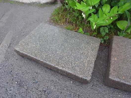 e0126548_1625922.jpg