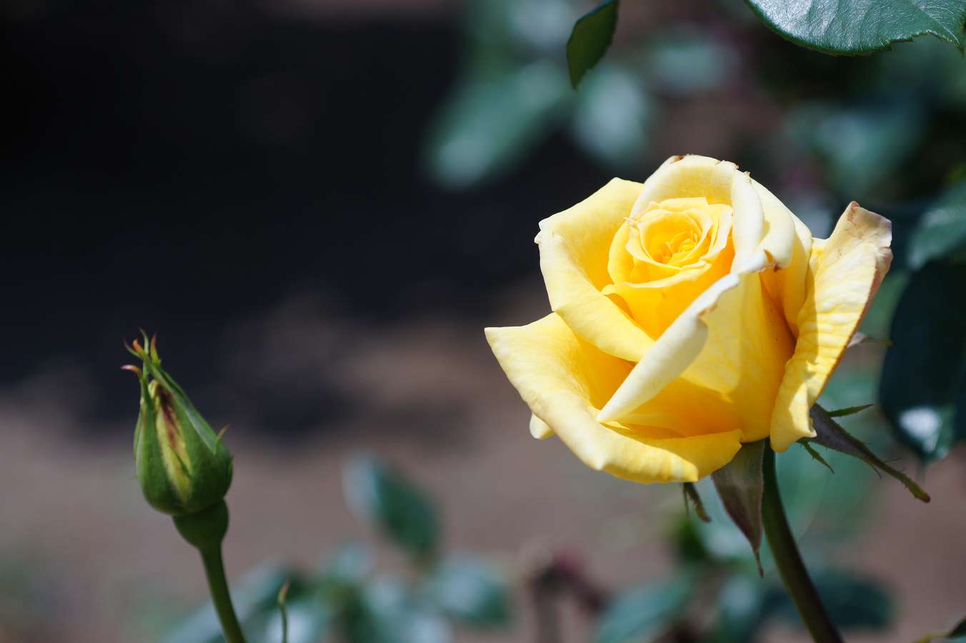a0063552_11152272.jpg