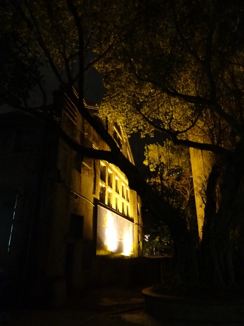 c0081552_1162464.jpg