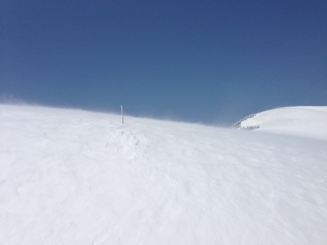 f0036360_1275212.jpg