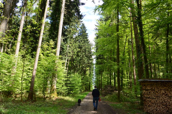 c0287366_055915.jpg