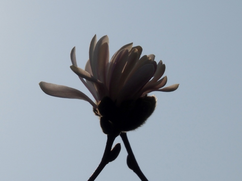 c0183777_5475180.jpg