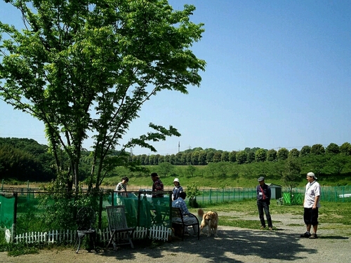 f0230380_23364541.jpg