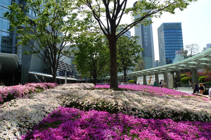 a0127090_1211163.jpg