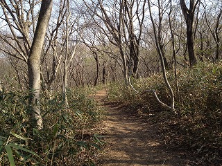 e0152990_22391570.jpg