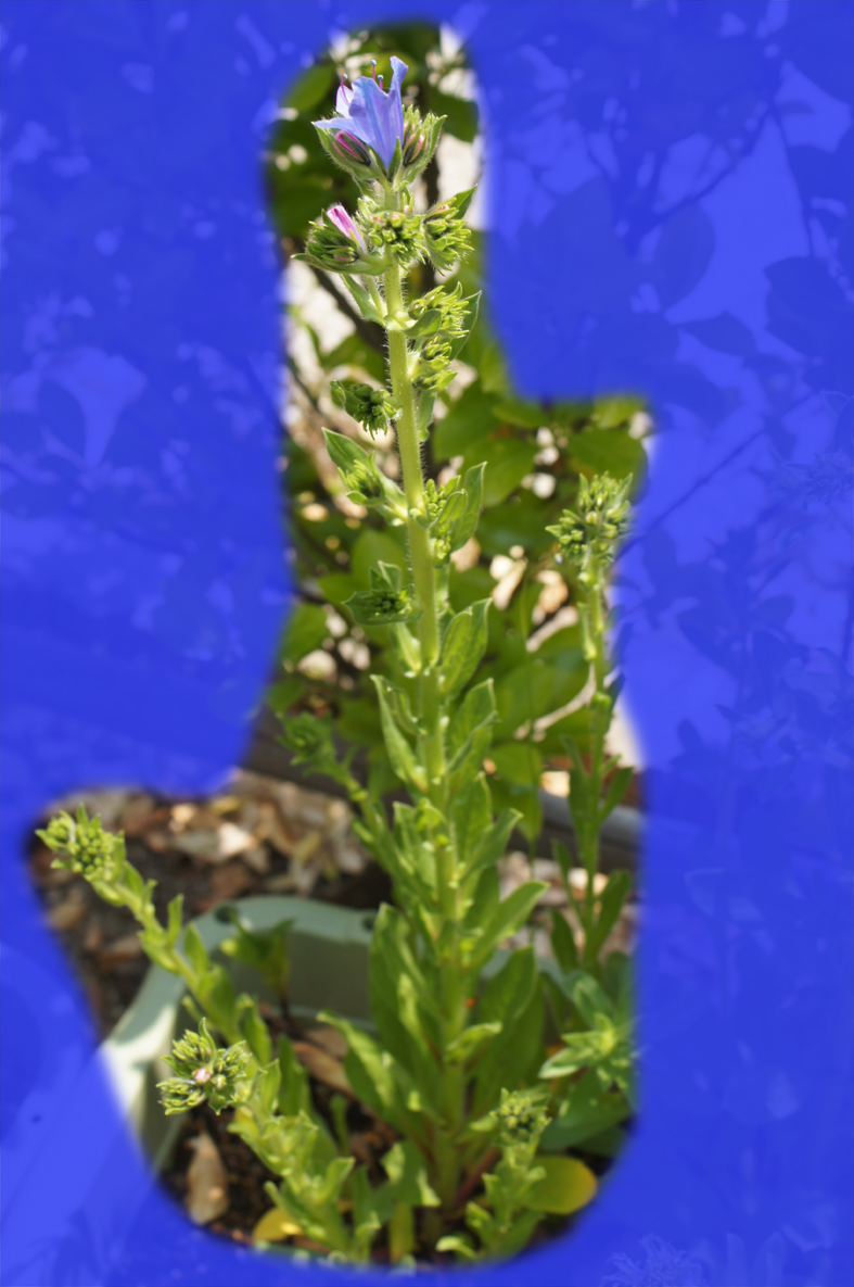 c0139591_1246320.jpg