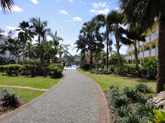 e0161692_4494635.jpg