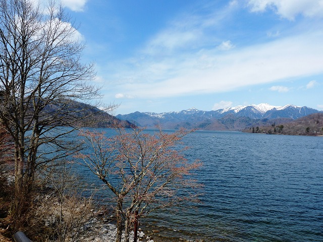 e0202393_6151251.jpg