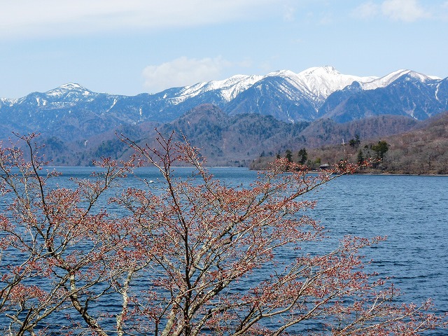 e0202393_616084.jpg