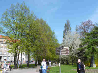 f0169397_4462382.jpg