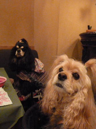c0128303_2121477.jpg